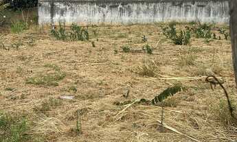 Imagem 2: Lote Parque das Primaveras Bem Localizado