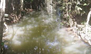 Imagem 2: Chácara 4 dormitórios à venda Santos Dumont Anápolis/GO