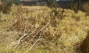 Imagem 3: Terreno à venda Residencial Alfredo Abrahão Anápolis/GO