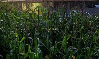 Imagem 3: Chácara de Lazer com Piscina