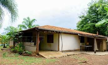 Imagem 7: Linda chácara para lazer, piscina, pomar e muito mais - Joanapolis