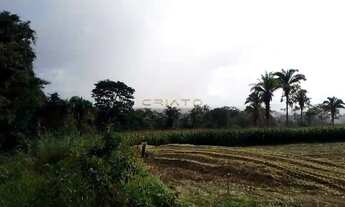 Imagem 5: ????4 hectares limpo (40.000m²) Terreno em Corumbá de Goiás