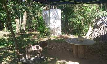 Imagem 5: Vendo Chácara com Mercado