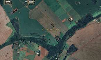 Imagem: Fazenda Produtiva à Venda em Rio Verde