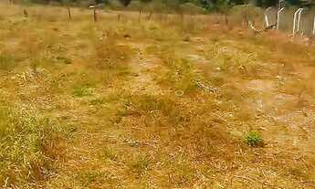 Imagem: Lote jardim primavera 418mtrs quadrado