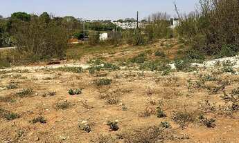 Imagem: Excelente Lote no privê lirios do campo