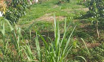 Imagem: Chácara 2 dormitórios à venda Zona Rural