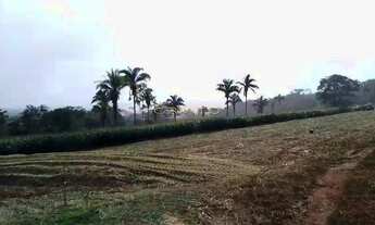 Imagem 4: ????4 hectares limpo (40.000m²) Terreno em Corumbá de Goiás