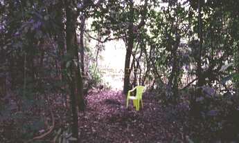 Imagem 4: Chacara Com Córrego a venda