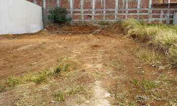 Imagem 4: Lote Excelente no Setor Jamil Miguel