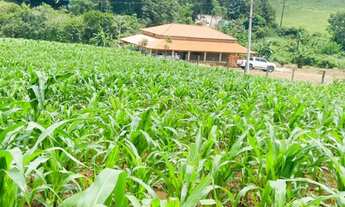 Imagem 4: Chácara de Lazer com Piscina