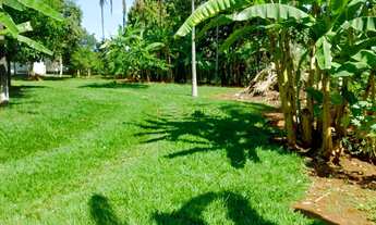 Imagem: Encante-se com esta Chácara Rural em Anápolis