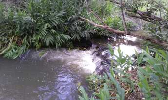 Imagem 6: Chacara Com Córrego a venda