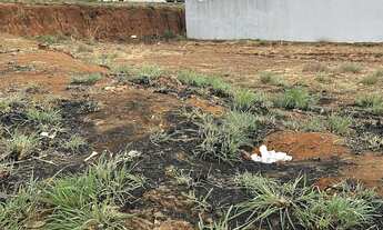 Imagem 3: Lote no Setor Sul Jamil Miguel