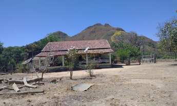 Imagem: Fazenda a venda 50 mil por Alqueire