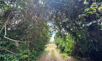 Imagem 7: CHÁCARA COMPLETA À VENDA