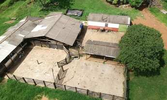 Imagem 5: Linda Fazenda à Venda