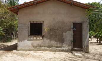 Imagem 4: Casa de praia mobiliada na Ilha de Maiandeua