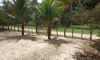 Imagem 3: Casa de praia mobiliada na Ilha de Maiandeua