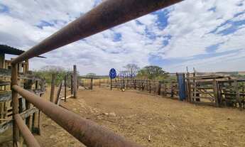 Imagem 6: Fazenda à venda próximo a Anápolis - Interlândia