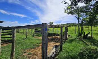 Imagem 5: Chácara à Venda com Abundância de Água em Abadiania - Próximo a Anápolis