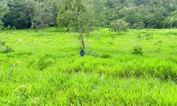 Imagem: Chácara de 39.000m² à Venda Próximo