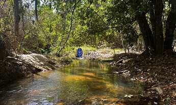 Imagem 4: Seu Refúgio na Natureza: Chácaras com Cachoeira a 18 km de Anápolis!