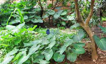 Imagem 5: Terreno 300m² à Venda no Jardim dos Ipês com Edícula