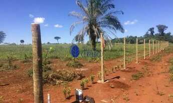 Imagem 7: Condomínio Das Orquídeas – Lotes à Venda em Petrolina de Goiás