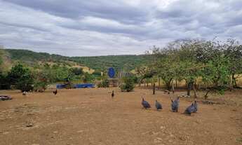Imagem 7: Fazenda à venda próximo a Anápolis - Interlândia