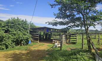 Imagem 6: Chácara à Venda com Abundância de Água em Abadiania - Próximo a Anápolis