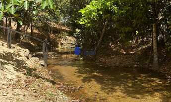 Imagem 5: Seu Refúgio na Natureza: Chácaras com Cachoeira a 18 km de Anápolis!