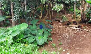 Imagem 4: Terreno 300m² à Venda no Jardim dos Ipês com Edícula