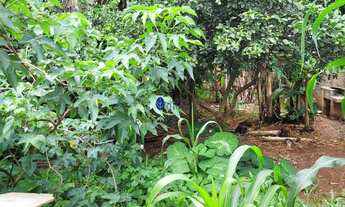 Imagem 3: Terreno 300m² à Venda no Jardim dos Ipês com Edícula