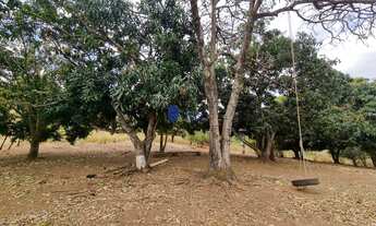 Imagem 4: Fazenda à venda próximo a Anápolis - Interlândia