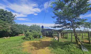 Imagem 7: Chácara à Venda com Abundância de Água em Abadiania - Próximo a Anápolis