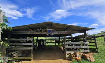 Imagem 4: Chácara à Venda com Abundância de Água em Abadiania - Próximo a Anápolis