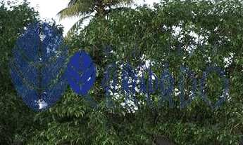 Imagem 3: Casa com 3 Suítes à Venda no Condomínio Fechado Res. Gaudi