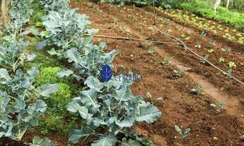 Imagem 7: Chácara de 9,67 Hectares à Venda Próximo a Nova Pecuária de Anápolis