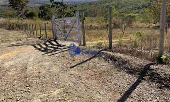 Imagem: Chácara com 10 Mil Pés de Guariroba à