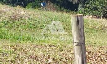 Imagem 5: ÁREA DE TERRA NO PERÍMETRO URBANO TREVO