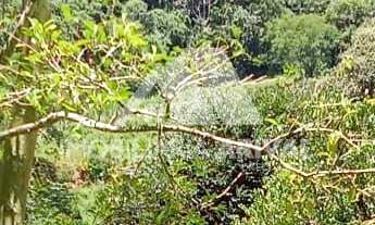 Imagem 2: ÁREA CORDILHEIRA ALTA