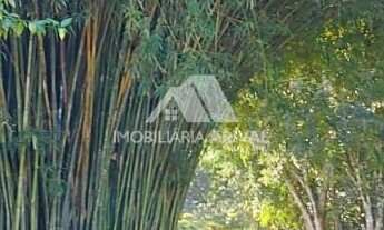 Imagem 7: ÁREA DE TERRA NO PERÍMETRO URBANO TREVO