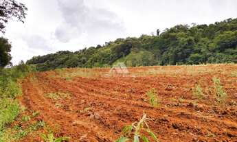 Imagem 3: ÁREA DE TERRA EM PAIAL