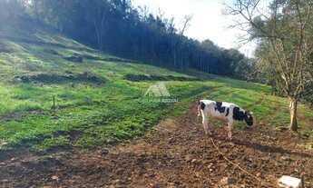 Imagem: ÁREA PARA POTREIRO
