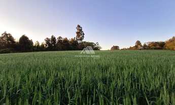 Imagem: ÁREA RURAL NO PERÍMETRO URBANO