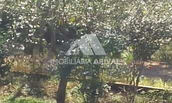 Imagem: ÁREA DE TERRA DISTRITO DE MARECHAL BORMANN