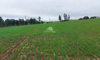 Imagem 4: ÁREA DE TERRA PARA PLANTIO NO BORMANN