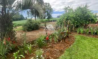 Imagem 5: CHÁCARA COM RIO NOVA ITABERABA