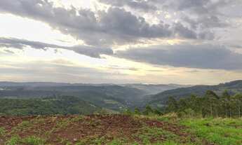 Imagem 7: ÁREA DE 20.000 METROS COM TERRAPLENAGEM